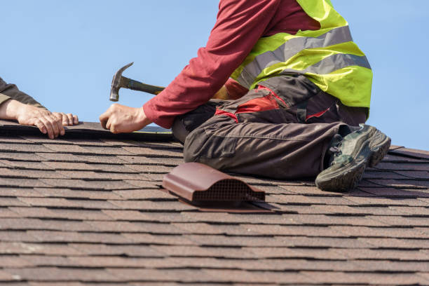 Roof Gutter Cleaning in Danville, IA