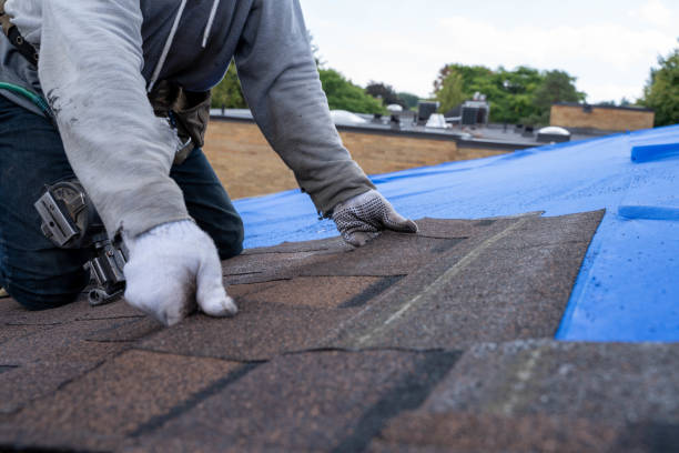 Best Roof Gutter Cleaning  in Danville, IA