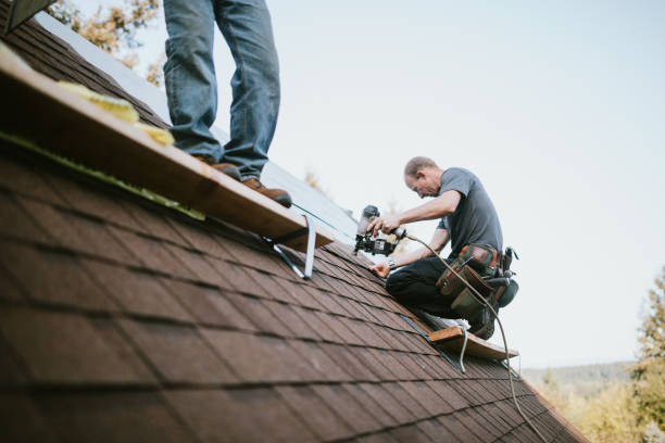Best Gutter Installation and Roofing  in Danville, IA